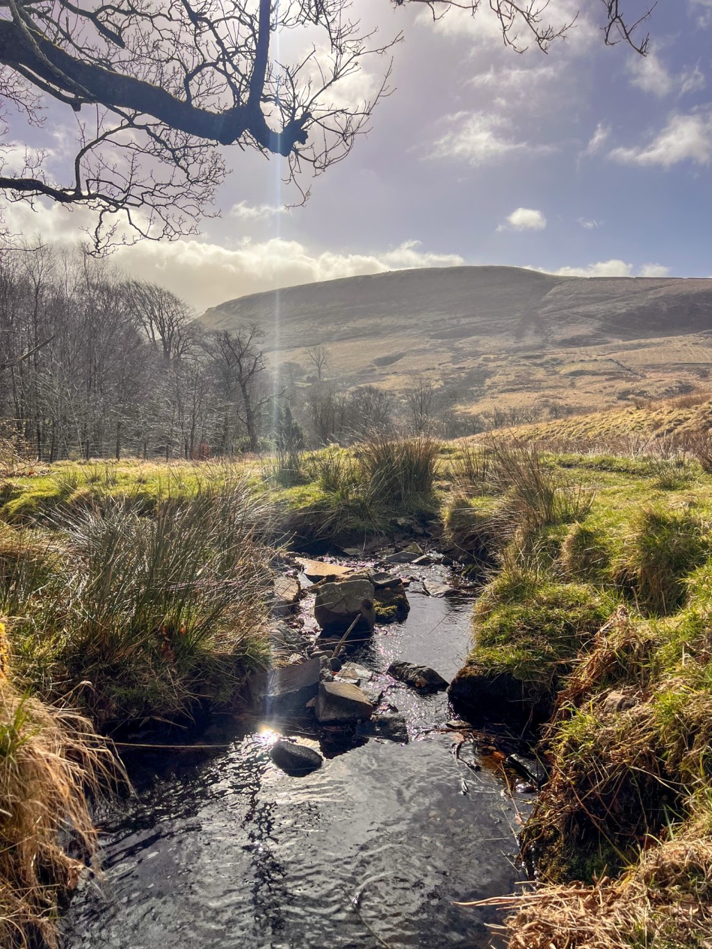 Helmshore: a rare weekend at home