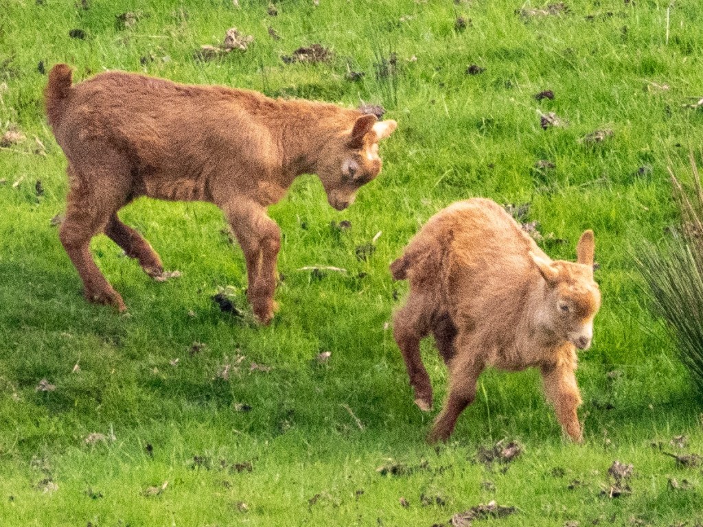 Helmshore: a family weekend at home