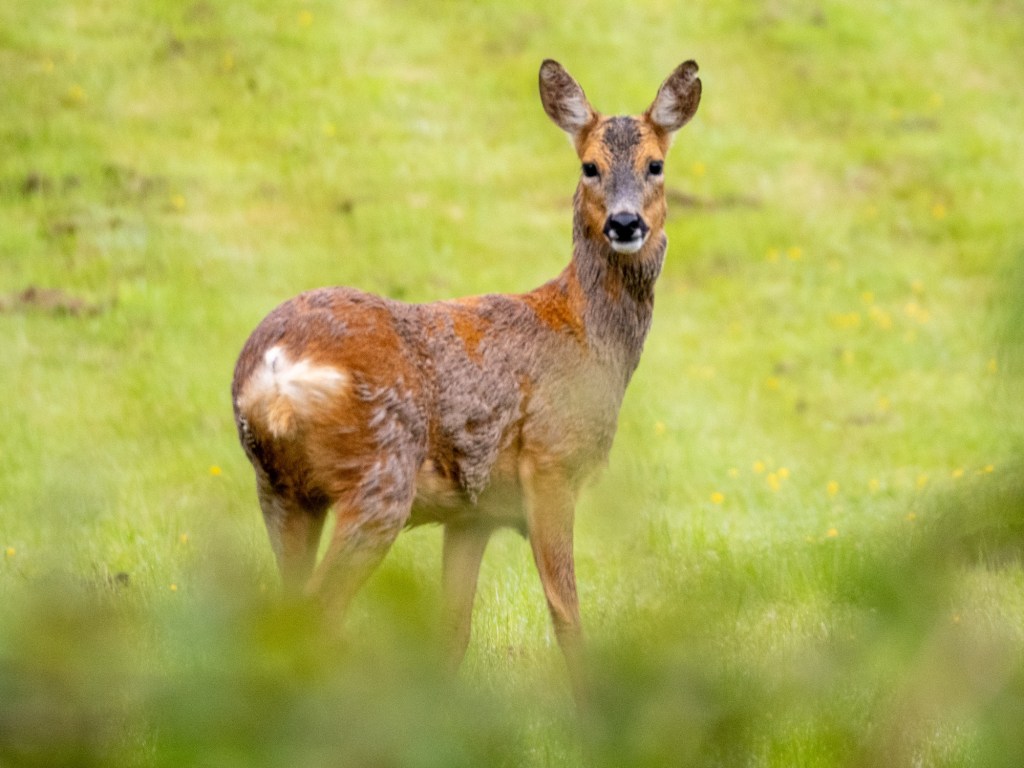 Helmshore Weekend: It’s so wet!!