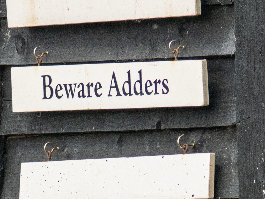 Aldeburgh Adventure: June 2025