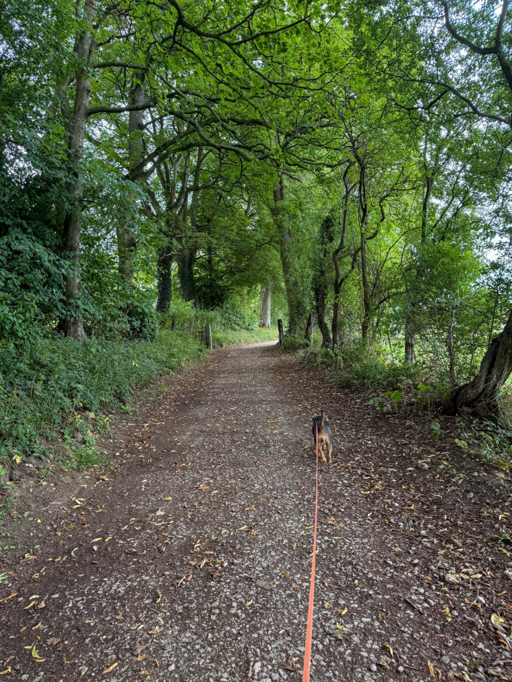 Hope: Quiet weekend in&nbsp;July