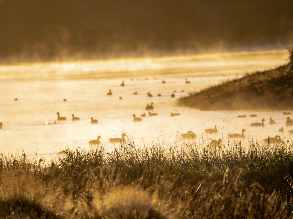 Helmshore: Soggy September Strolls and Sulky&nbsp;Peacocks