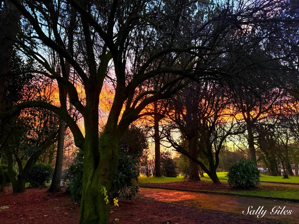 Helmshore: When the Light&nbsp;Hides