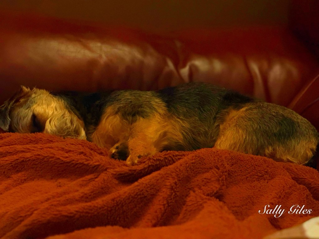 Helmshore: Winter, watched from the&nbsp;Window