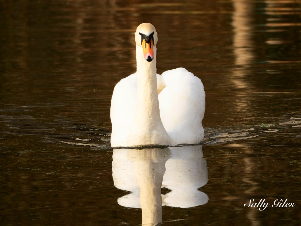 Garstang; Moorings & Old Friends, February&nbsp;26