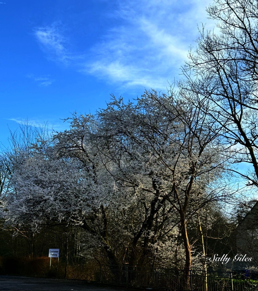 Helmshore: When Winter Won’t Quite&nbsp;Leave