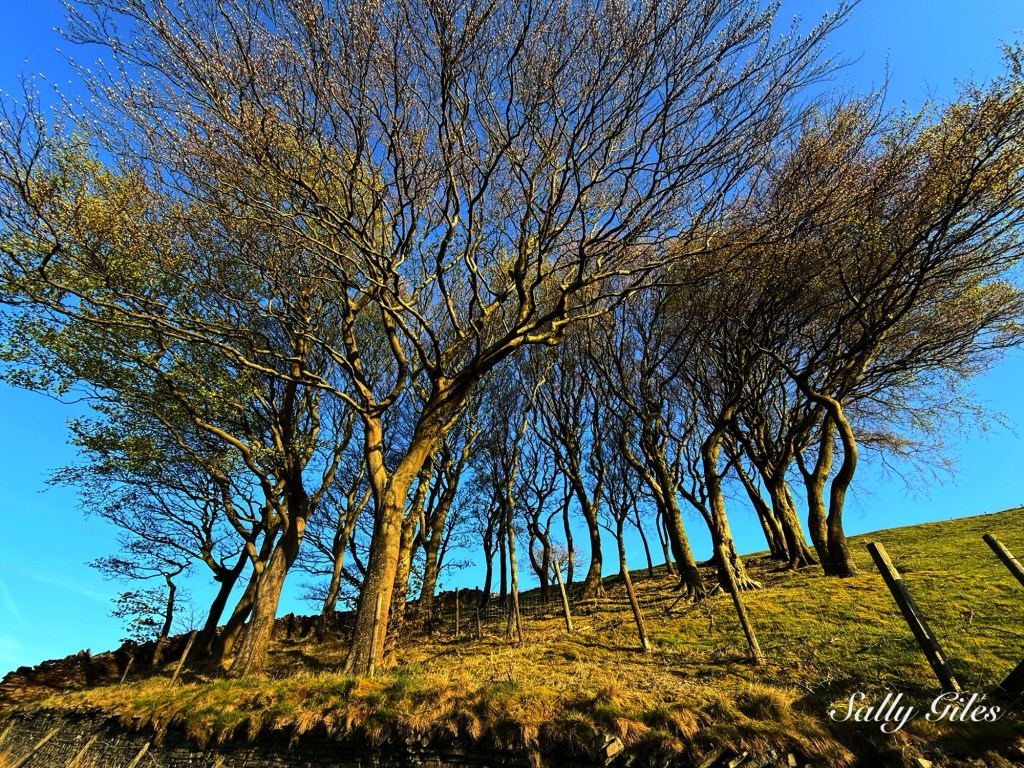 Helmshore: Barefoot Through the&nbsp;Noise