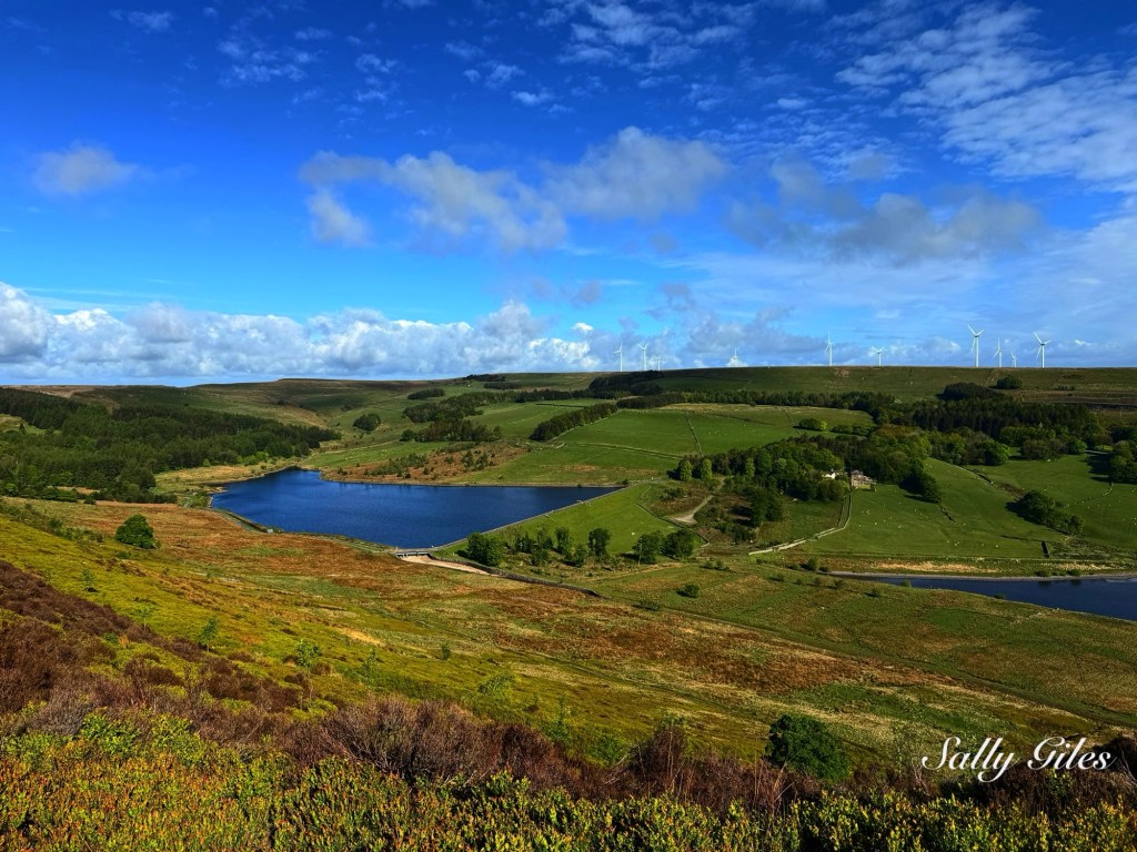 Helmshore: A Morning Away From the&nbsp;Dust