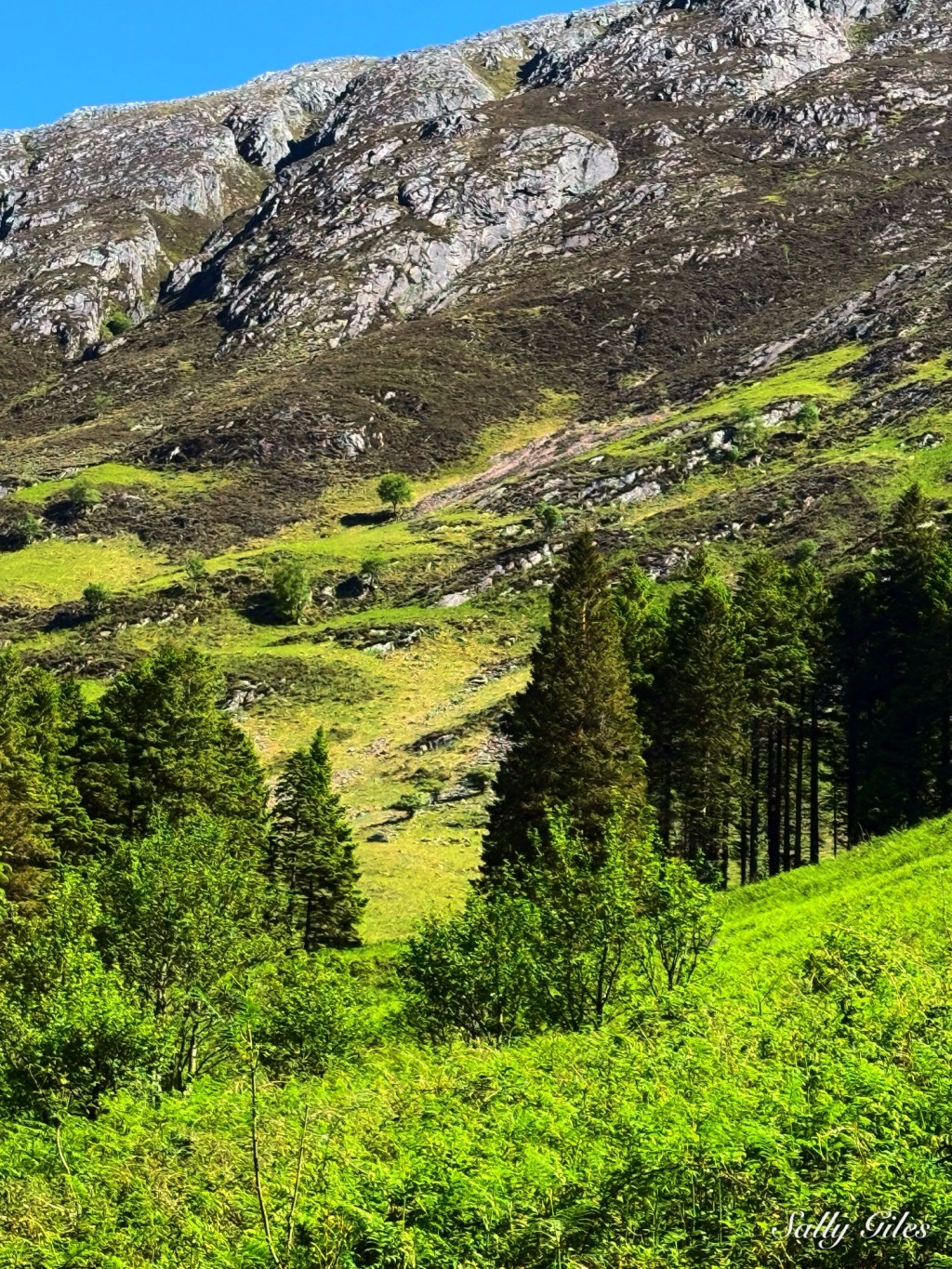 Scotland Road Trip — Part Two:&nbsp;Glencoe