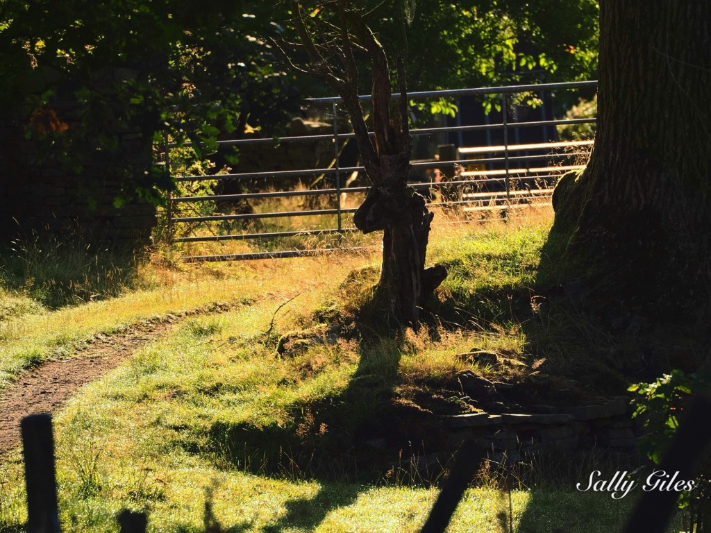 Helmshore – Dressed for the Wrong&nbsp;Season